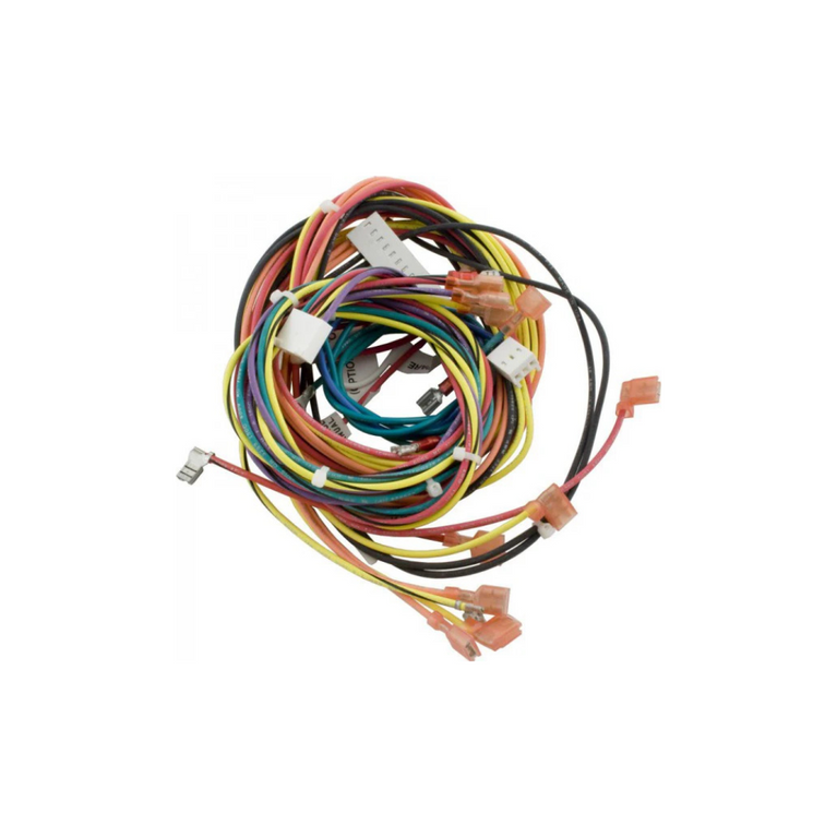 Wire Harness For Model R185B, R265B, R335B, R405B IID Pool Heater - Raypak