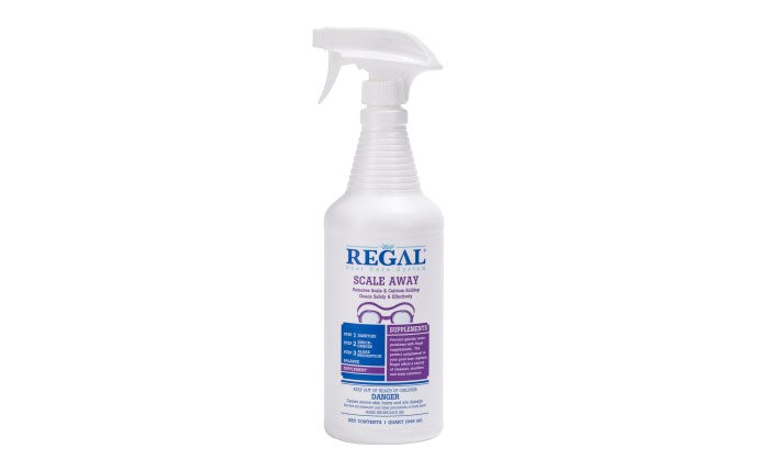 Regal Spray & Rinse Filter Cleaner 1 Qt